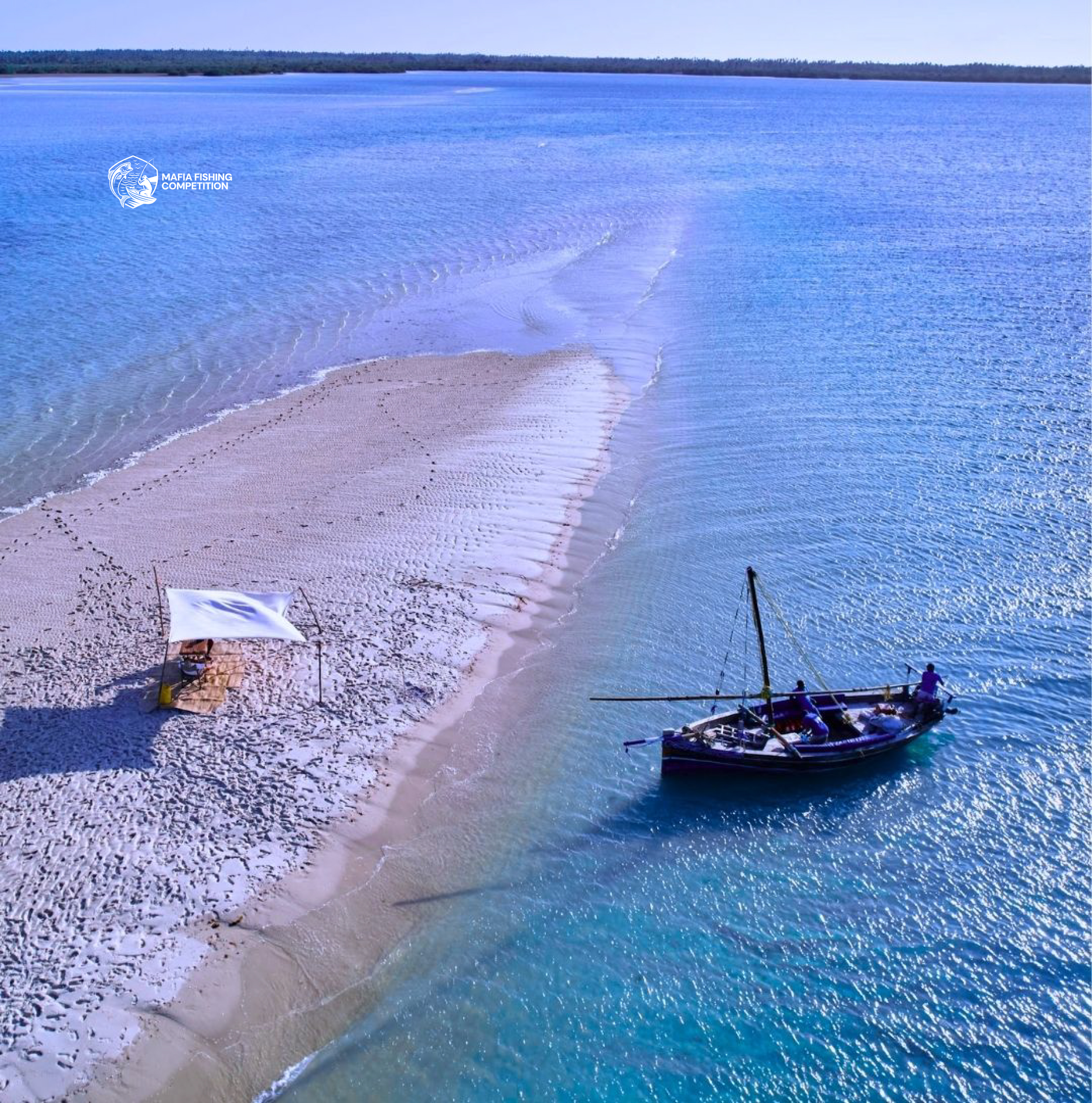 Whale shark conservation and research in Mafia Island